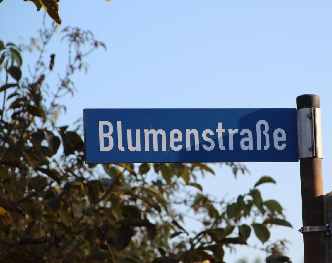 Ferienwohnung Auf Der Blumenstrasse Неттеталь Экстерьер фото